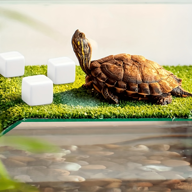 6Pcs For Reptile Grinding Tort - Calcium Powder Reptile のレビューと価格