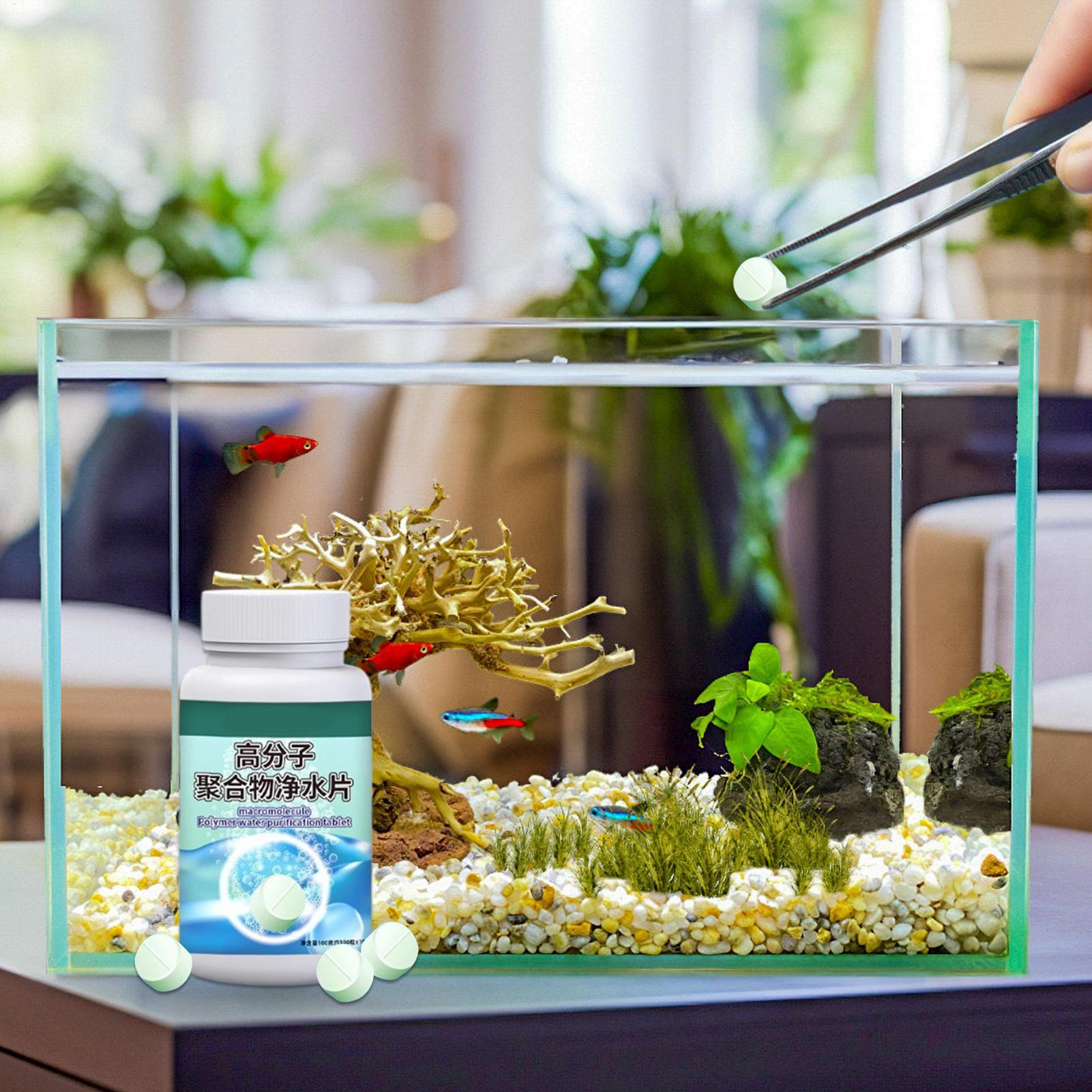 Fish Can Algae Remover Aquariu - Water Dish Reptile のレビューと価格