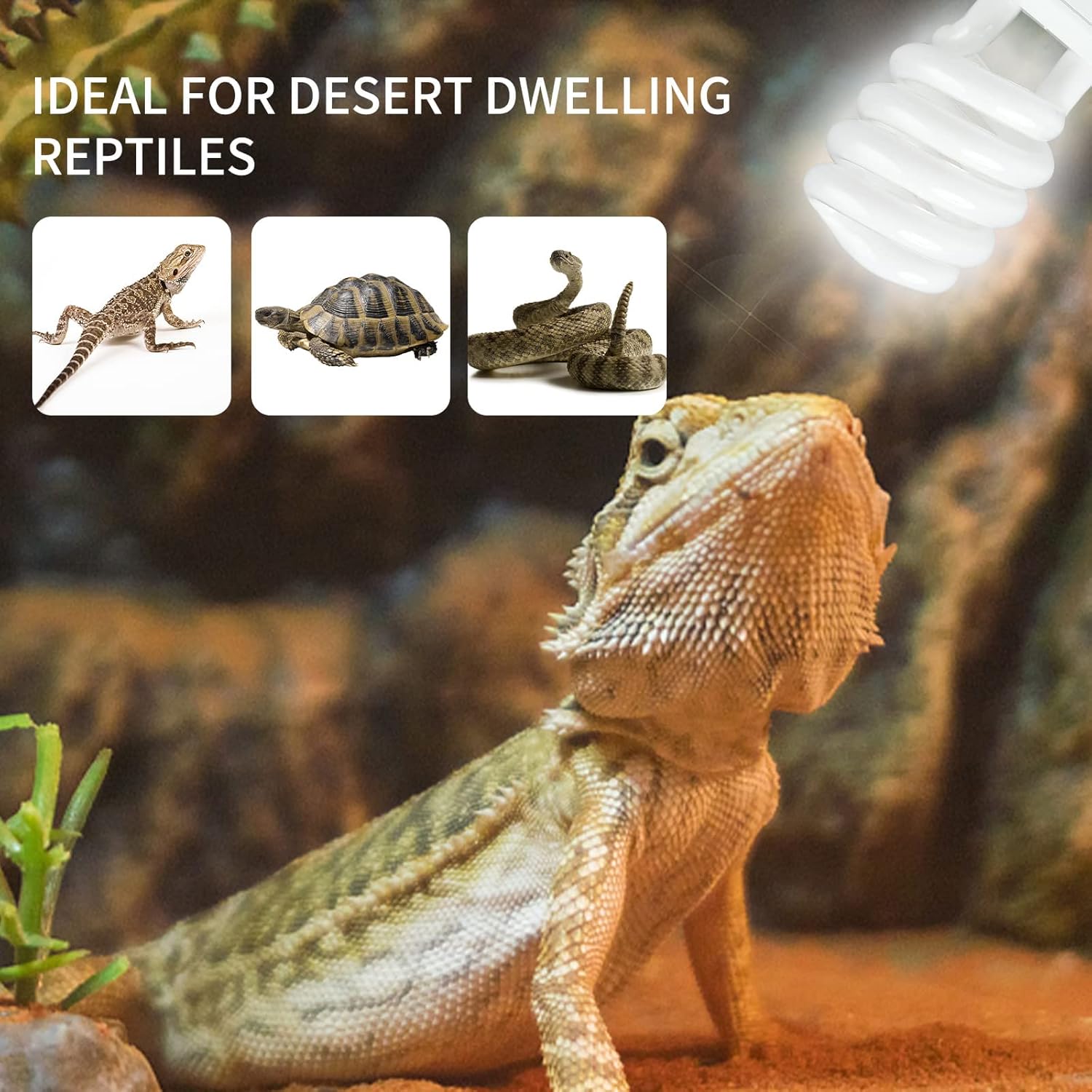UVB 5.0 10.0 Reptile Heating L - Ceramic Heat Emitter のレビューと価格