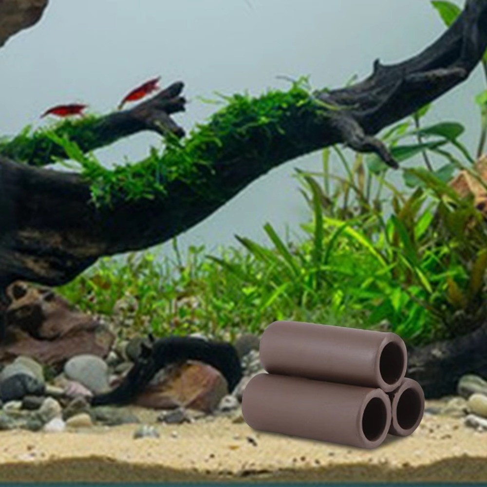Playing Breeding Spawning Aqua - Hide Cave Ceramic のレビューと価格