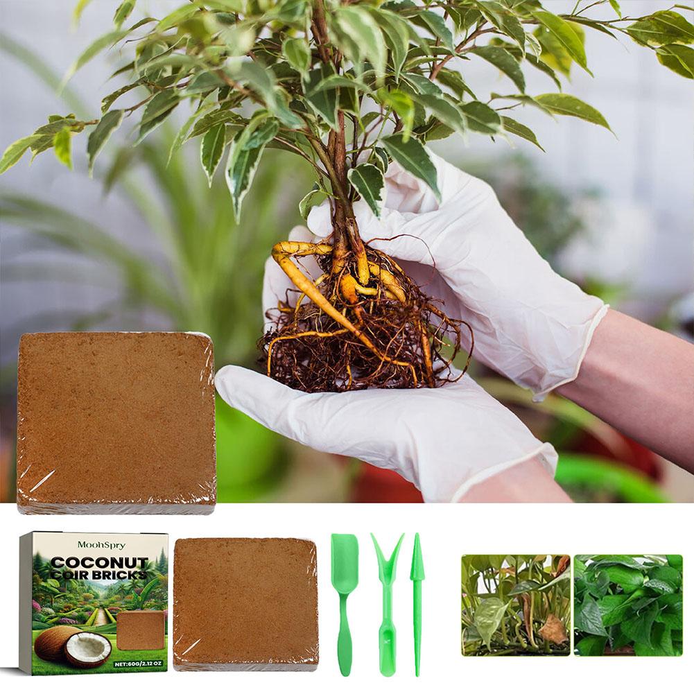 Reptile Coconut Soil Coir Pres - Substrate Coconut Fiber のレビューと価格