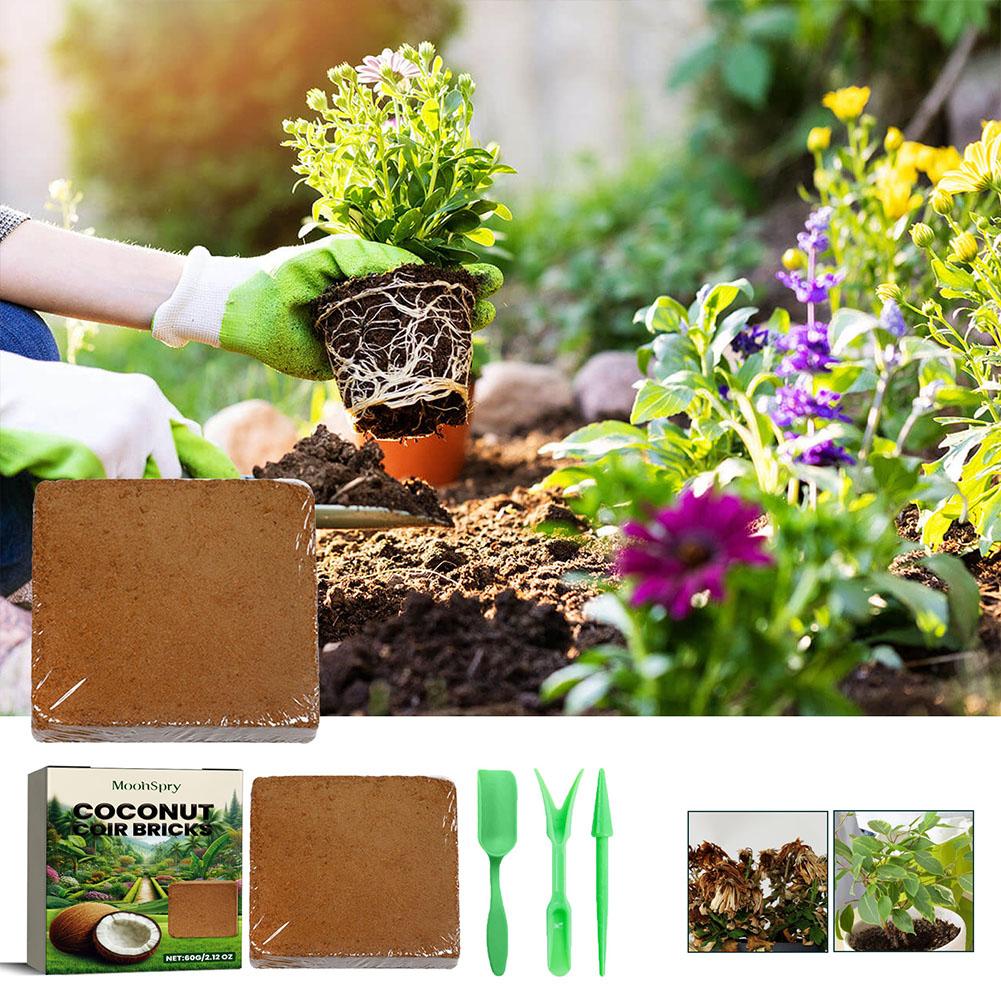 Reptile Coconut Soil Coir Pres - Substrate Coconut Fiber のレビューと価格