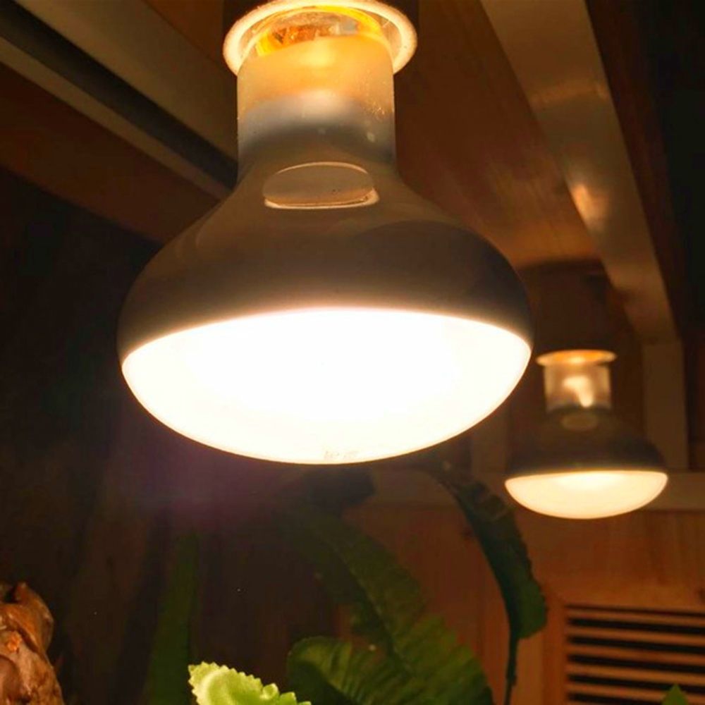 Lizard Heater Temperature Cont - Basking Bulb Halogen のレビューと価格