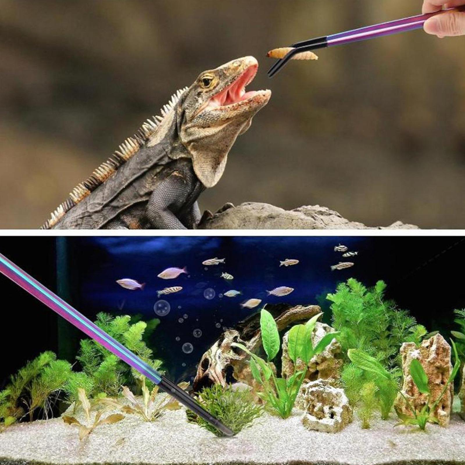 Terrarium Reptile Feeder Tongs - Feeding Tong Stainless のレビューと価格