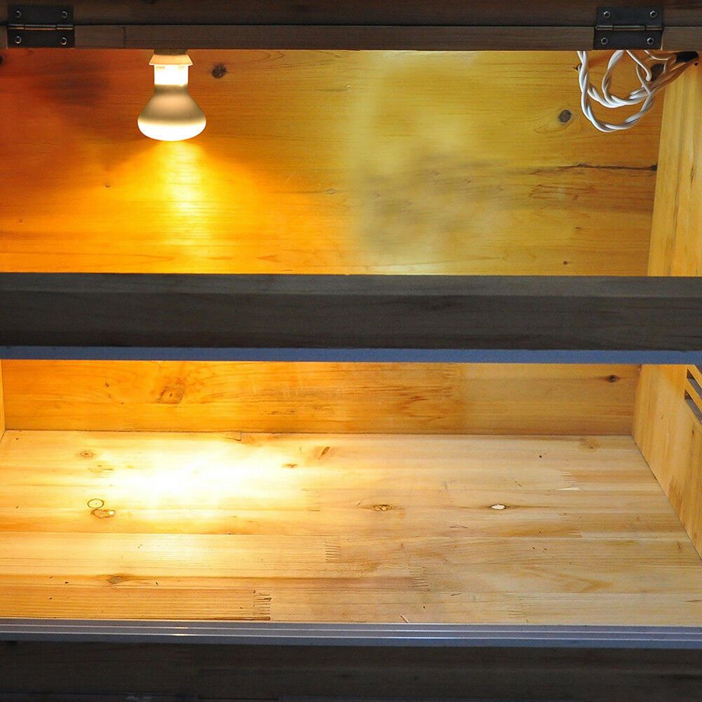 Lizard Temperature Controller  - Basking Bulb Halogen のレビューと価格