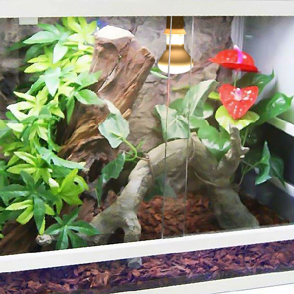 Lizard Temperature Controller  - Basking Bulb Halogen のレビューと価格