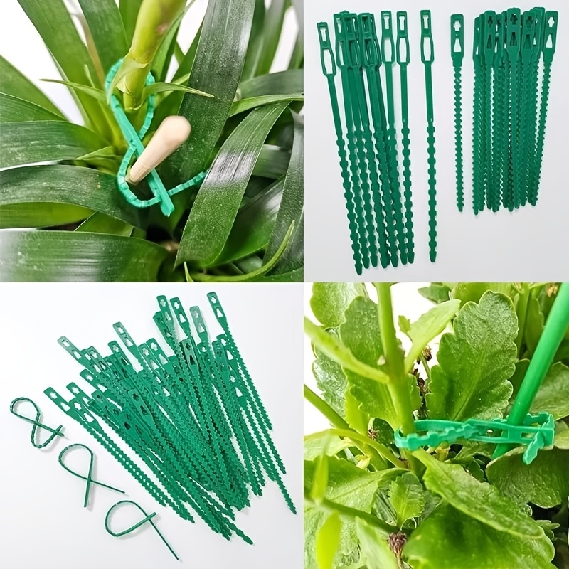 100PCS reusable adjustable pla - Vine Climbing Plastic のレビューと価格