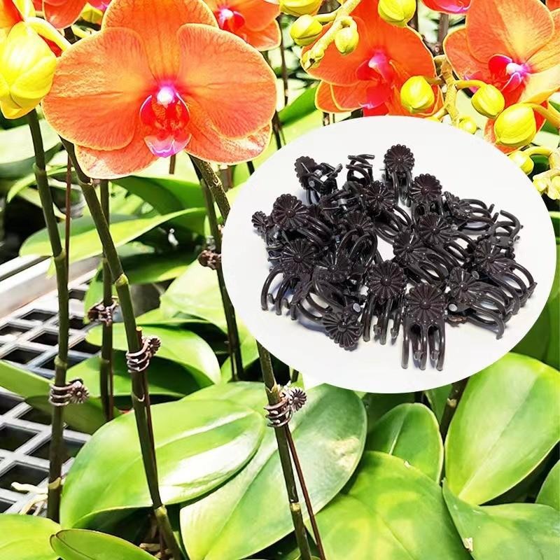 Wholesale Mini Plant Support C - Vine Climbing Plastic のレビューと価格