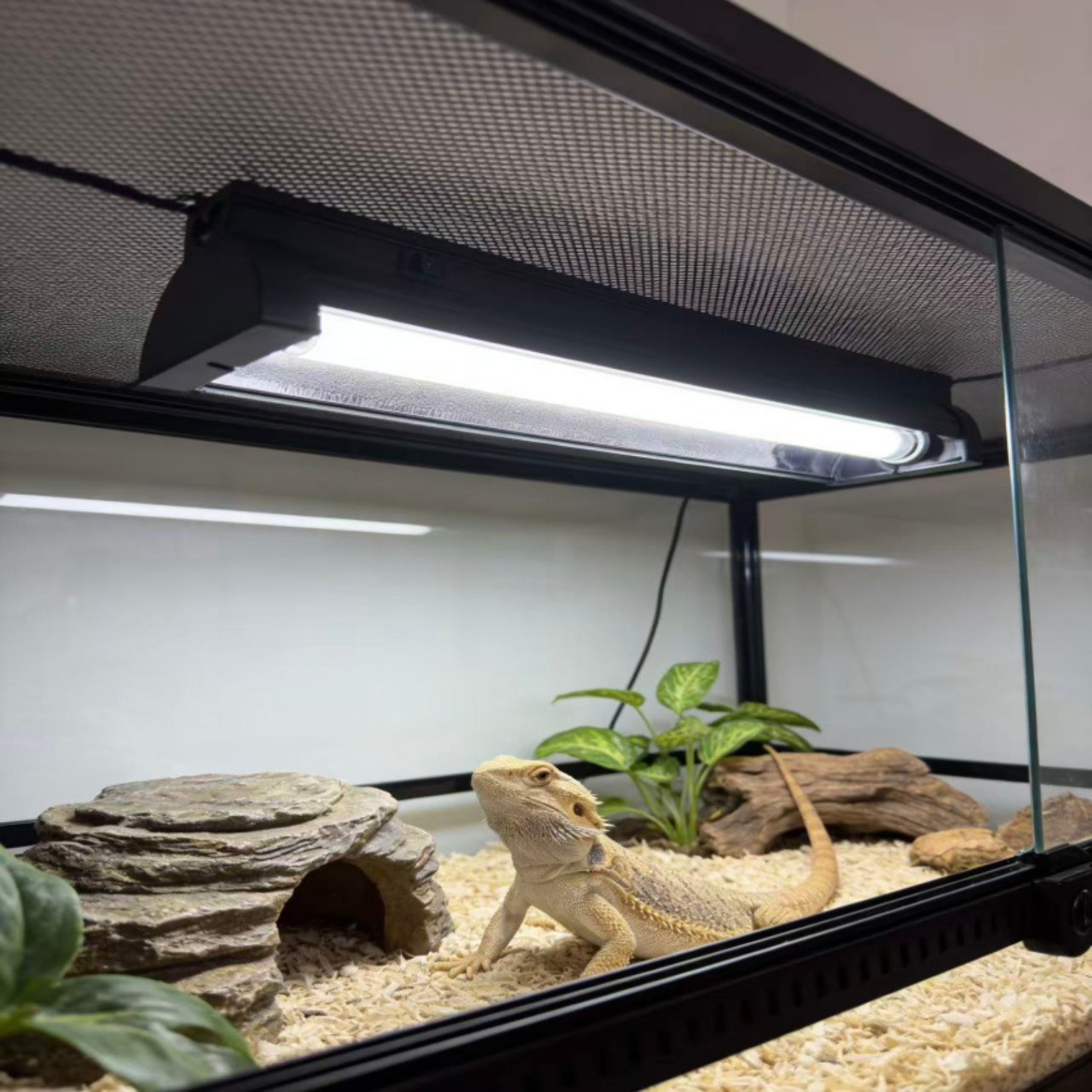 T5 UVB Reptile Light Fixture K - Calcium Powder Reptile のレビューと価格