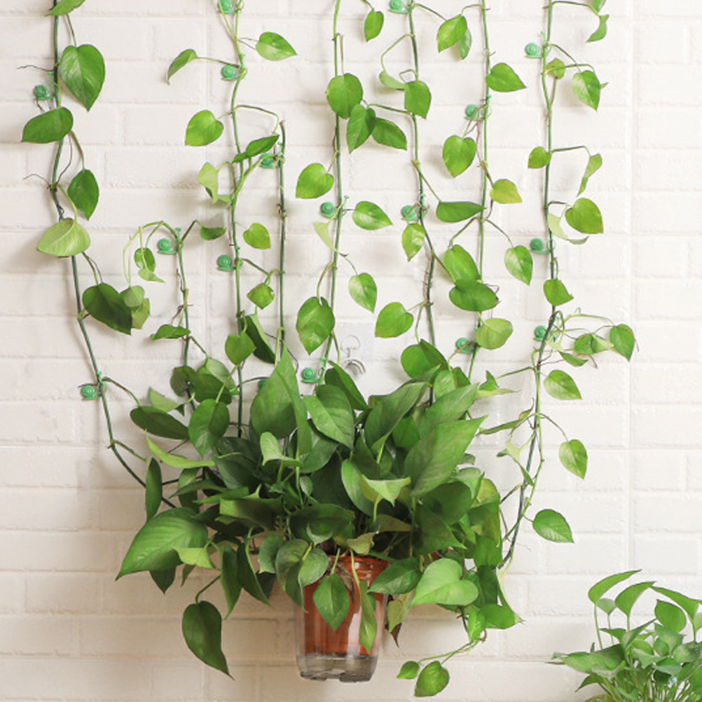 20Pcs Plant Climbing Wall Clip - Vine Climbing Plastic のレビューと価格