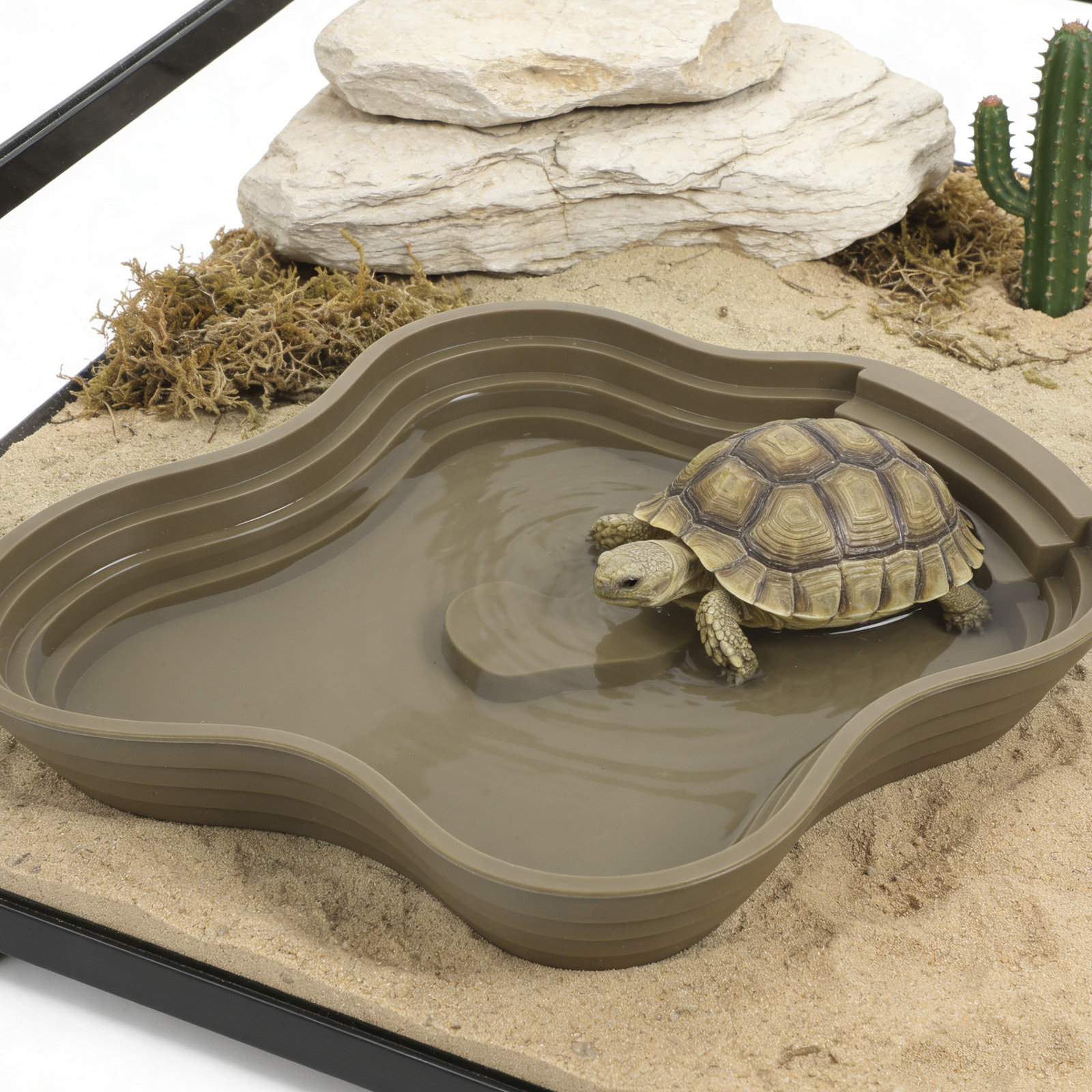 Large Turtle Reptile Bathing P - Water Dish Reptile のレビューと価格