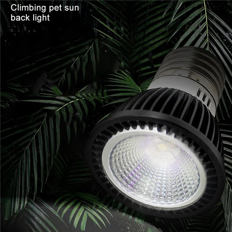 A03F-5X 110V Reptile UVB Light - Calcium Powder Reptile のレビューと価格