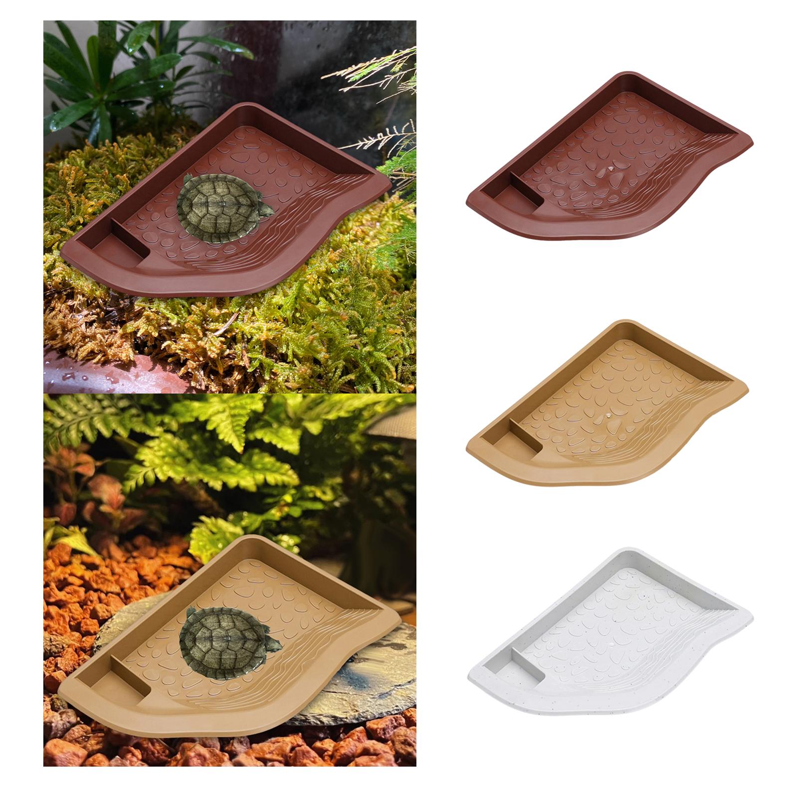 Reptile Pool Water Dish, Torto - Water Dish Reptile のレビューと価格