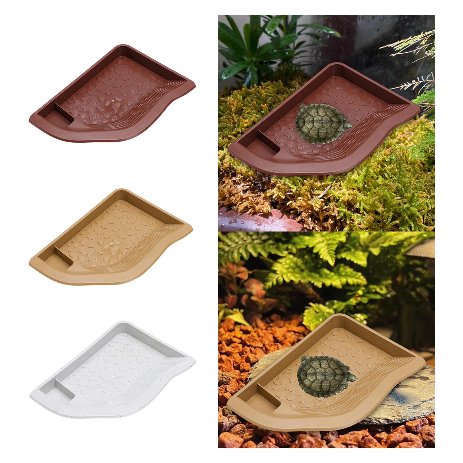 Reptile Pool Water Dish, Torto - Water Dish Reptile のレビューと価格