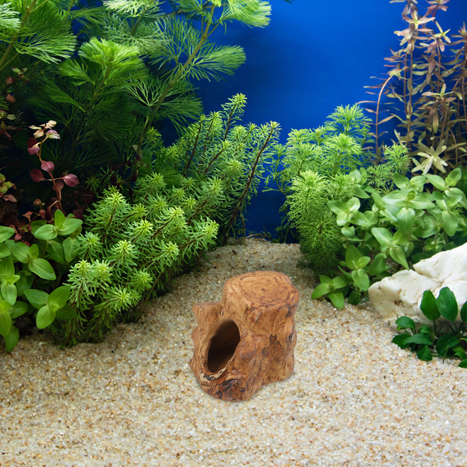 Pleco Caves for Aquarium Fish  - Hide Cave Ceramic のレビューと価格