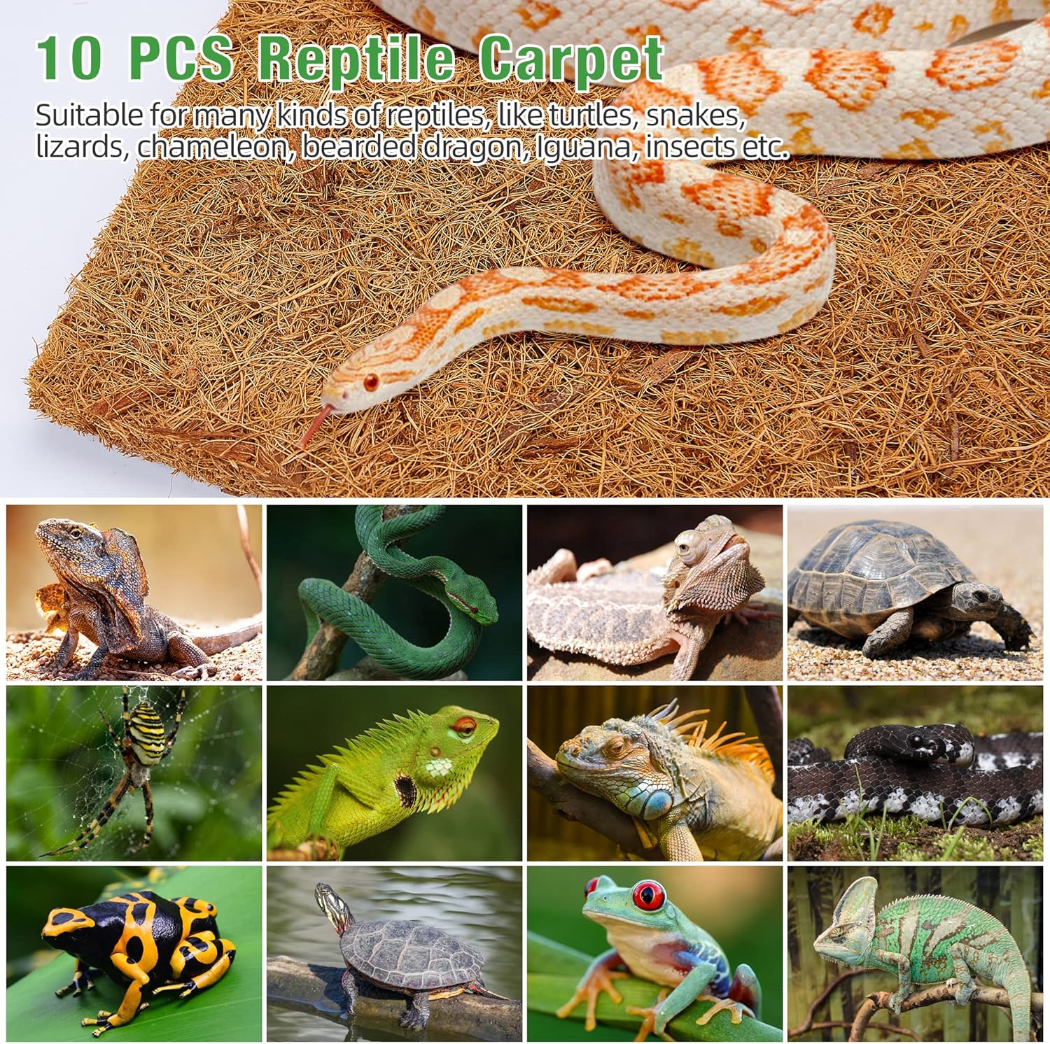 10 Pcs Reptile Carpet, 12x12 i - Substrate Coconut Fiber のレビューと価格