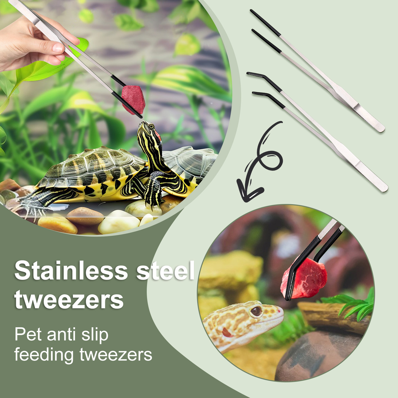 Stainless Steel Reptile Feedin - Feeding Tong Stainless のレビューと価格