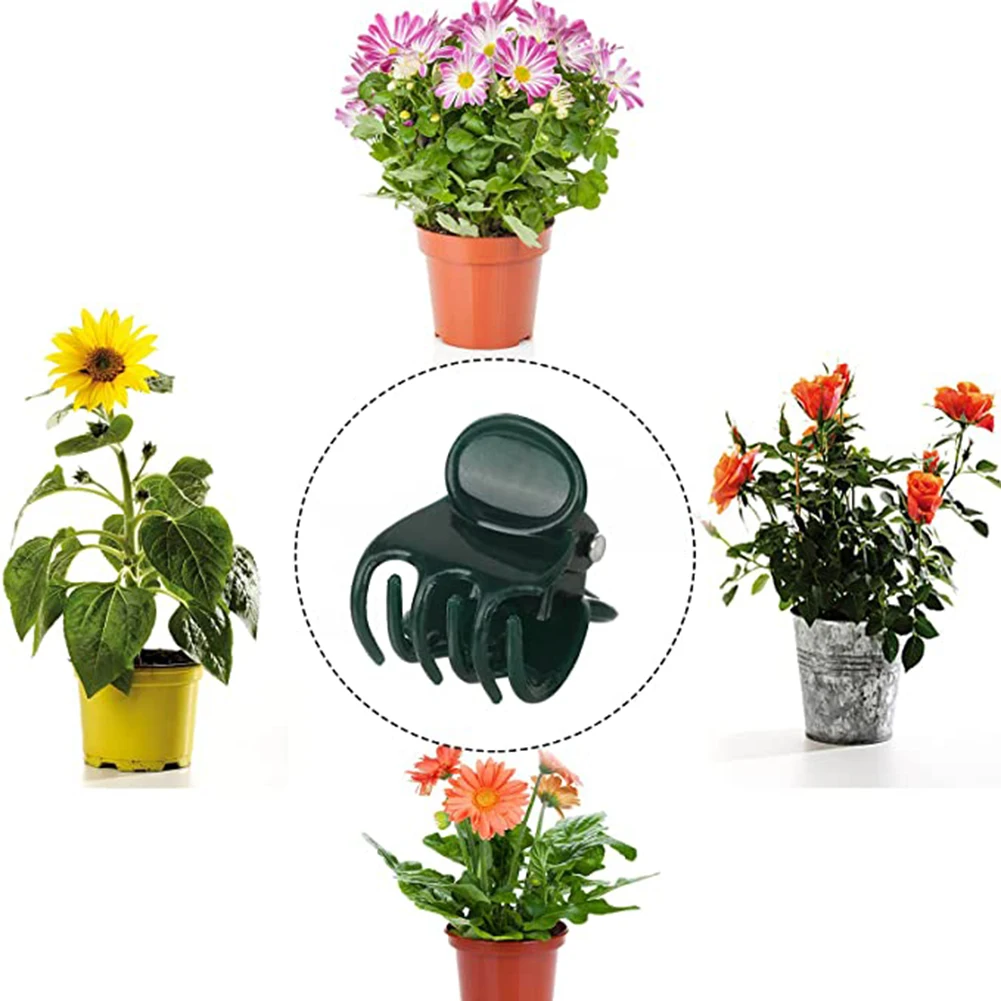 Phalaenopsis Orchid Support Cl - Vine Climbing Plastic のレビューと価格