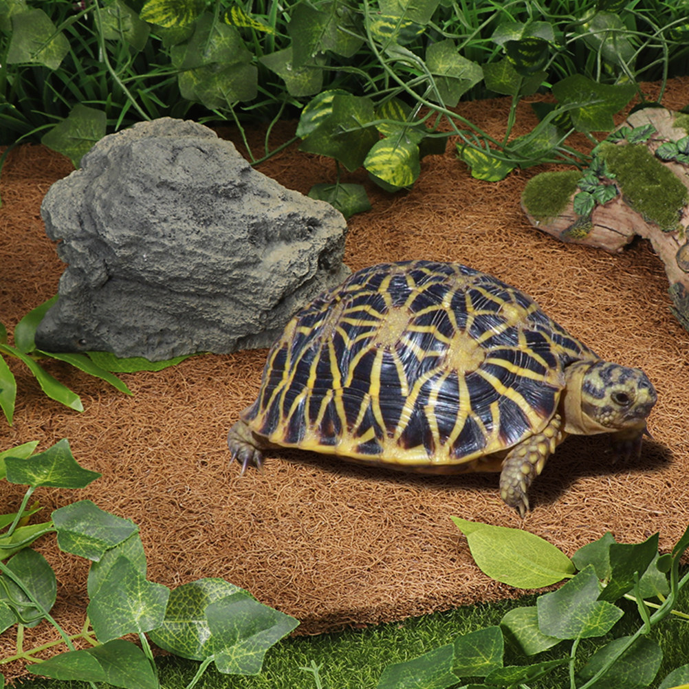 Reptile Terrarium Bedding Subs - Substrate Coconut Fiber のレビューと価格