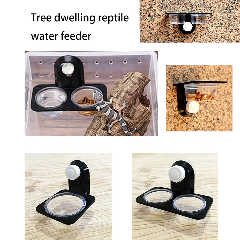 Reptile Tank Accessories Insec - Water Dish Reptile のレビューと価格