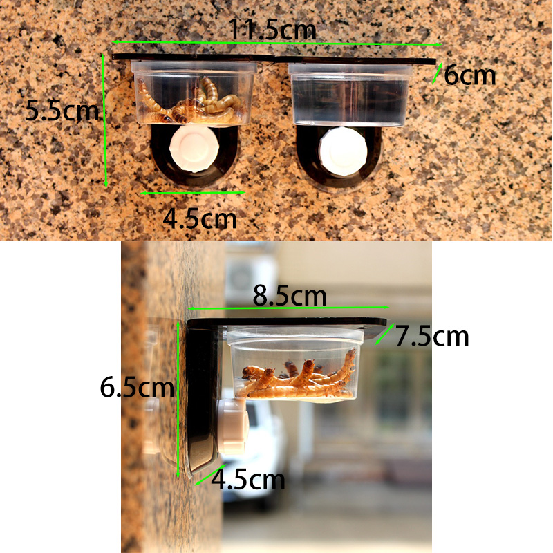 Reptile Tank Accessories Insec - Water Dish Reptile のレビューと価格