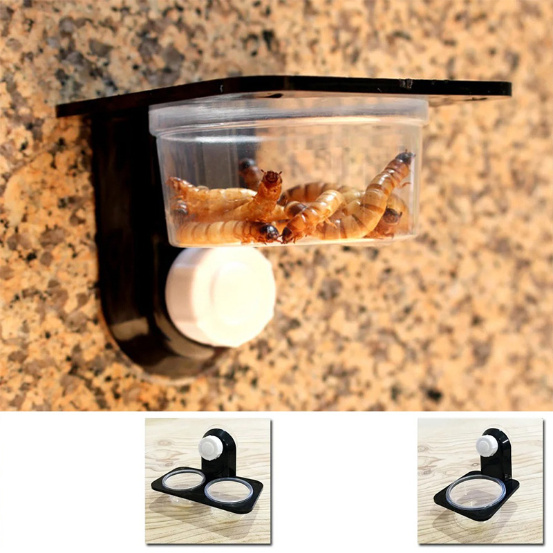 Reptile Tank Accessories Insec - Water Dish Reptile のレビューと価格