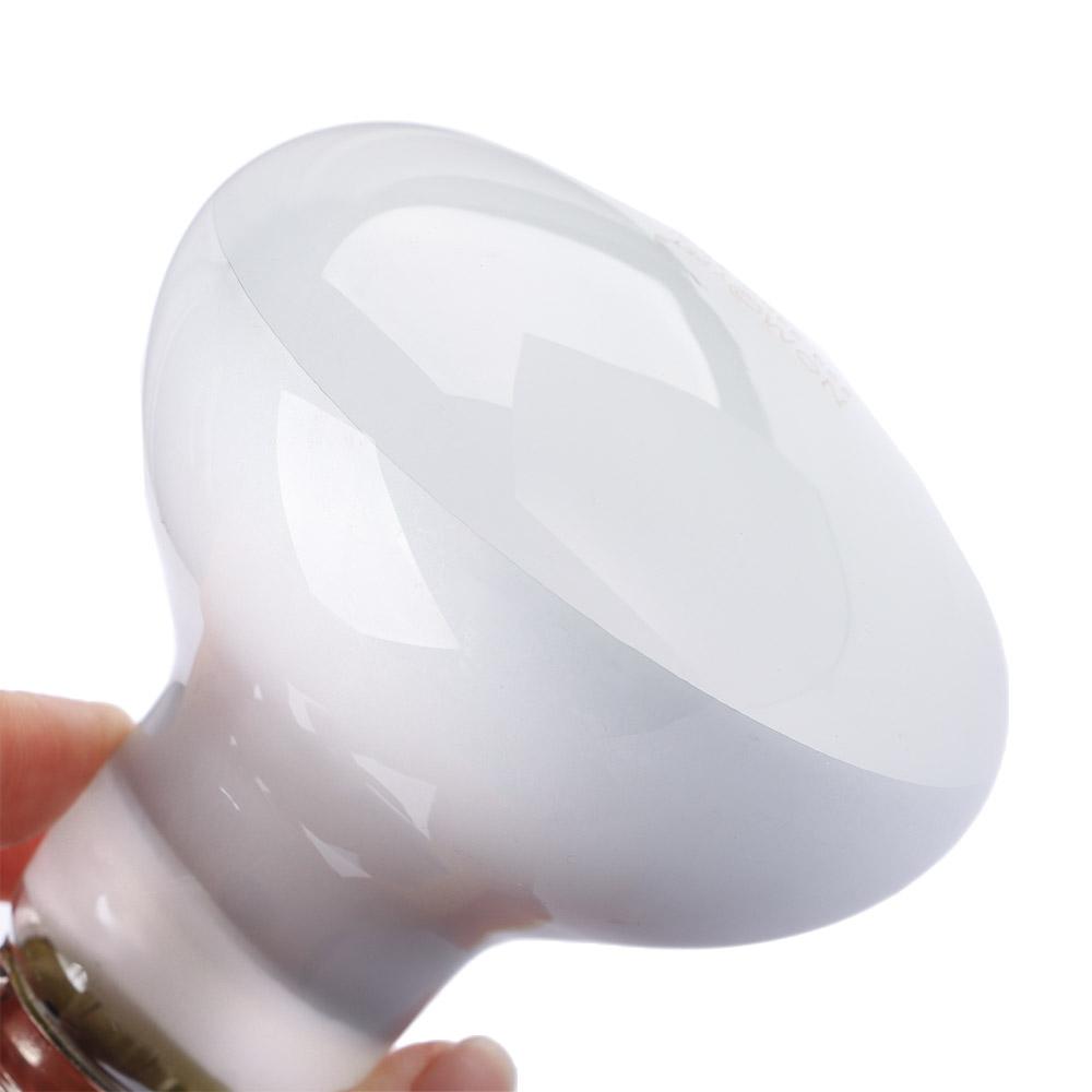 Amphibians Temperature Control - Basking Bulb Halogen のレビューと価格