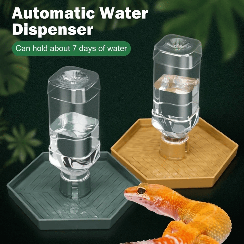 Feeding Supplies Automatic Tur - Water Dish Reptile のレビューと価格
