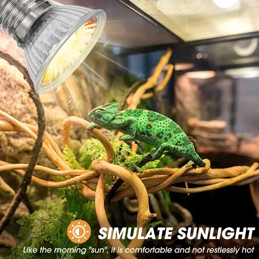 75/50/25W Tortoise Lizard Bask - Calcium Powder Reptile のレビューと価格