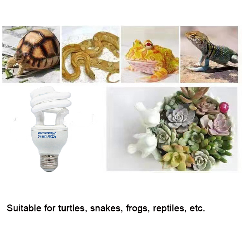 E27 13W/26W Reptile Uvb Lamp   - Calcium Powder Reptile のレビューと価格