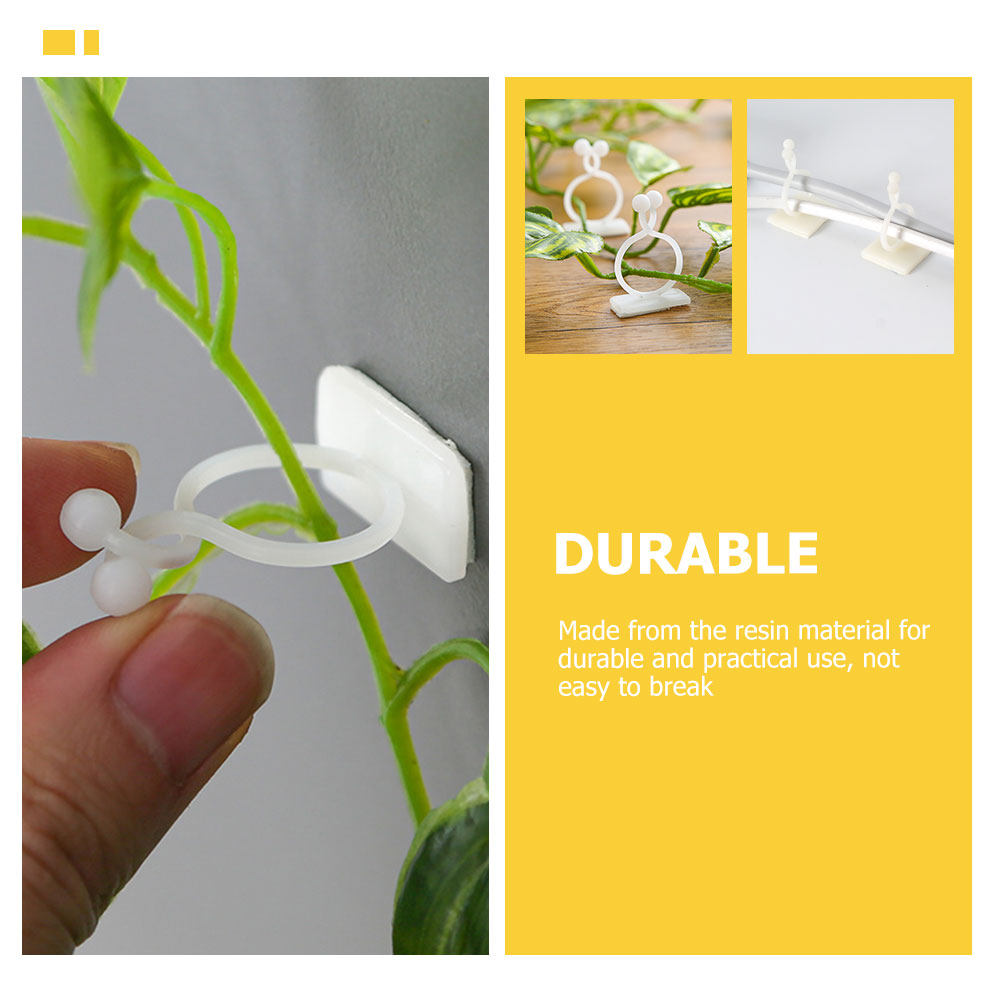 100Pcs Plant Wall Fixtures Res - Vine Climbing Plastic のレビューと価格