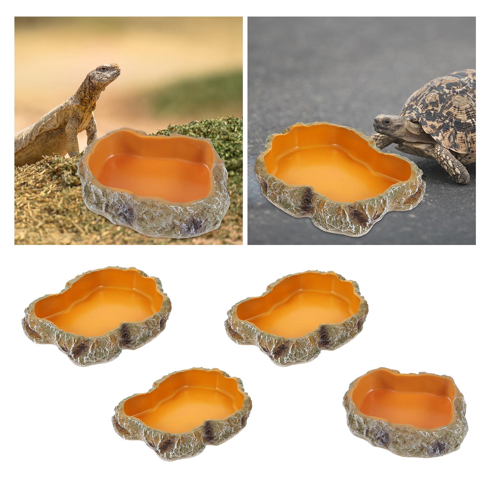 Reptile Water Bowls Decorative - Water Dish Reptile のレビューと価格