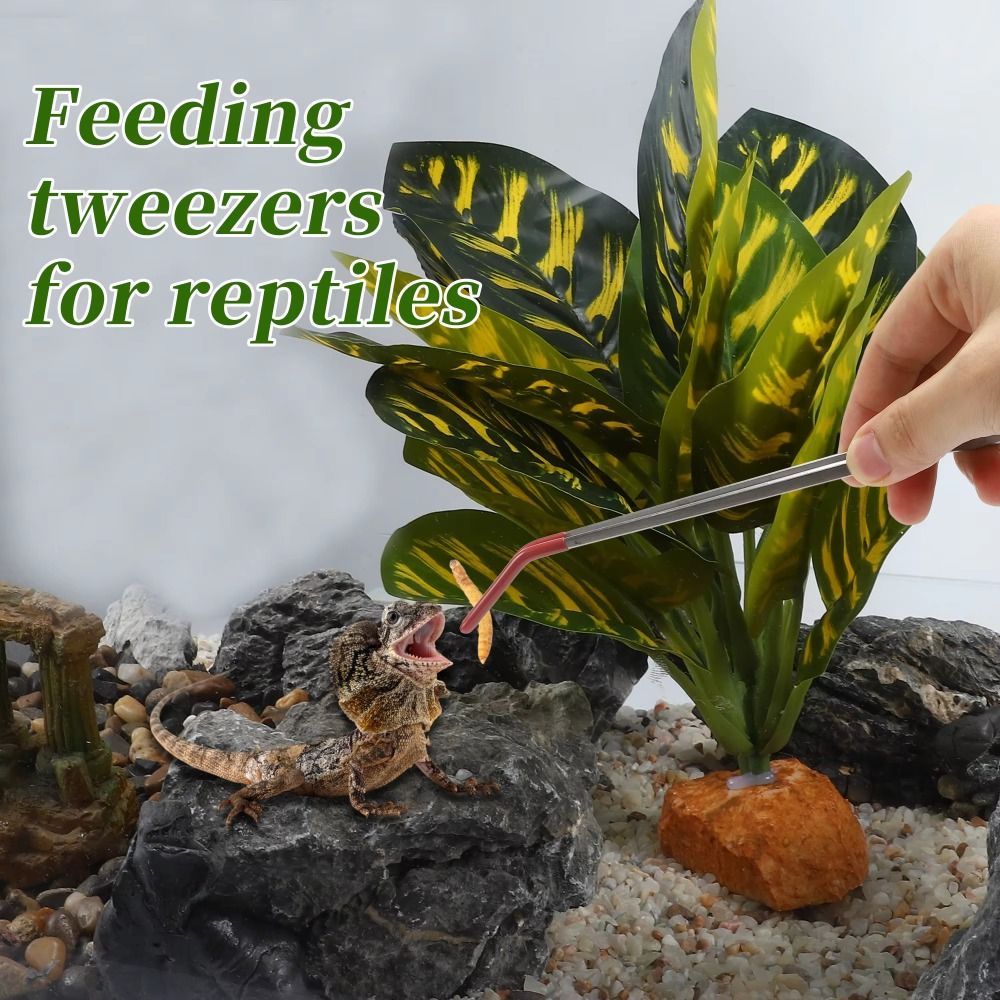 Stainless Steel Aquarium Feedi - Feeding Tong Stainless のレビューと価格