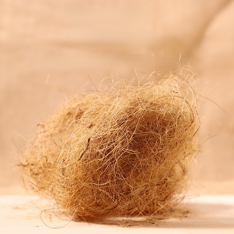 100g Finch Coconut Fiber Loose - Substrate Coconut Fiber のレビューと価格
