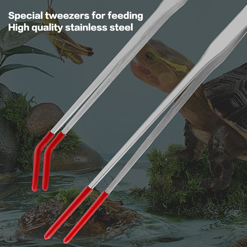 Reptile Feeding Tongs with Rub - Feeding Tong Stainless のレビューと価格