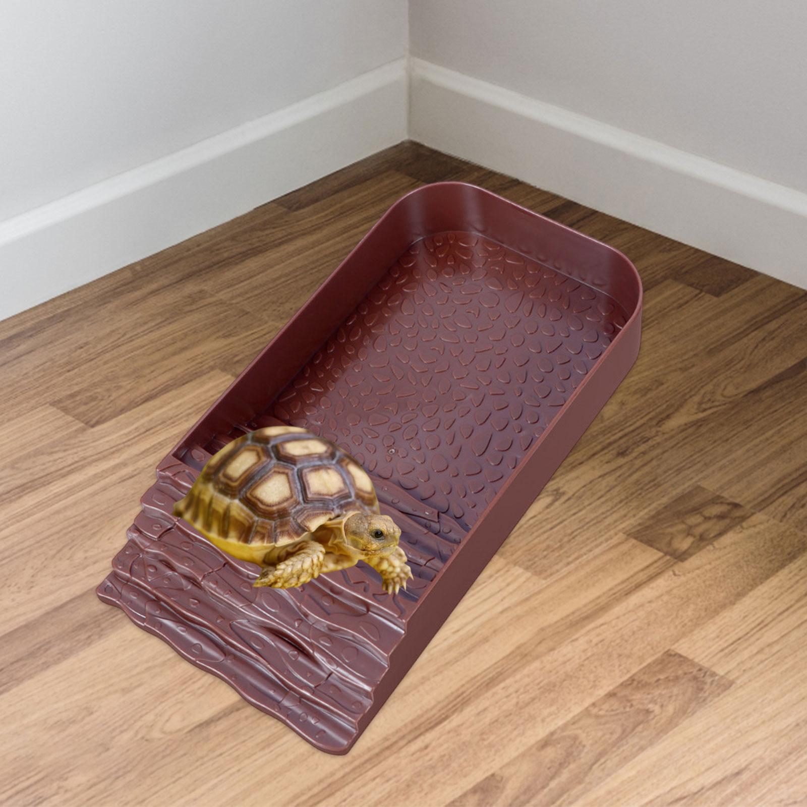 Reptile Water Bowl Accessories - Water Dish Reptile のレビューと価格