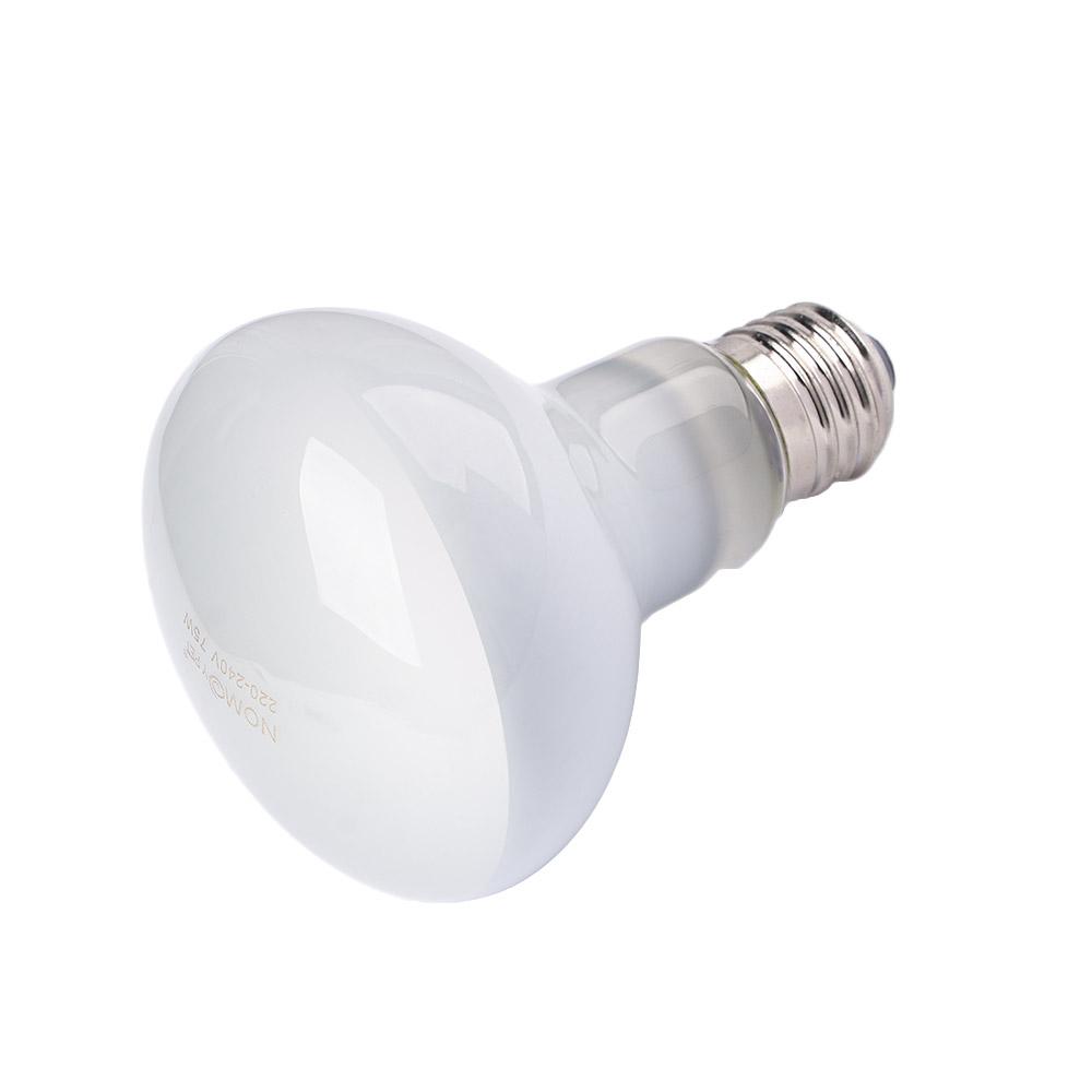 Amphibians Heat Lamp Temperatu - Basking Bulb Halogen のレビューと価格