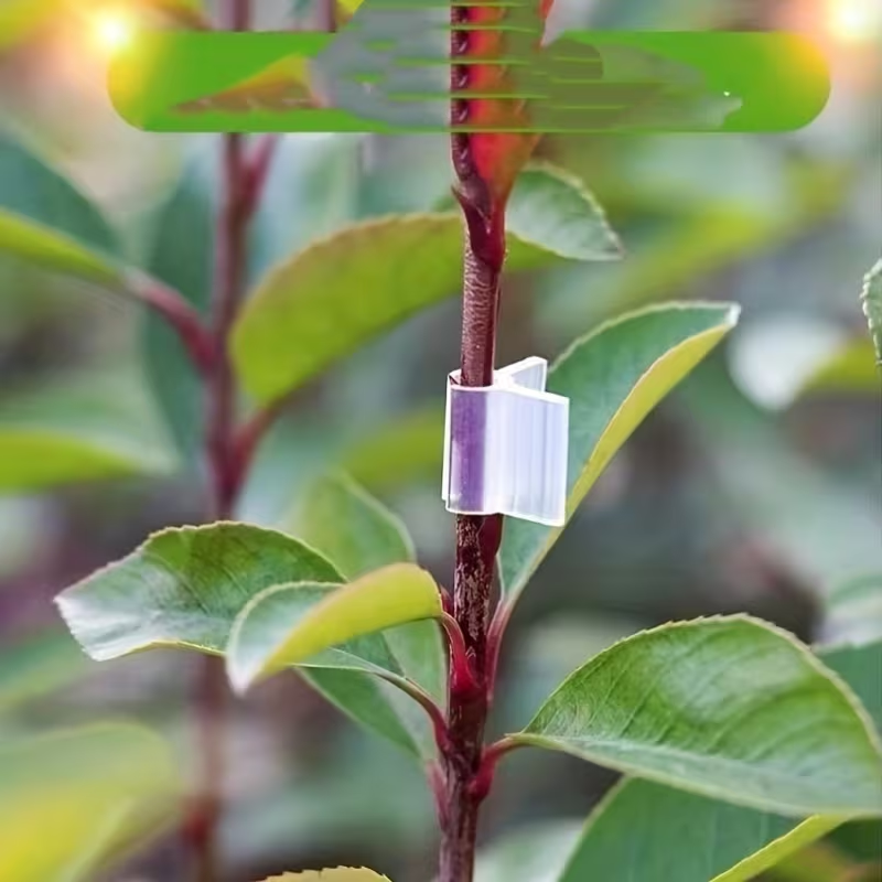 50pcs Agriculture Grafting Cli - Vine Climbing Plastic のレビューと価格