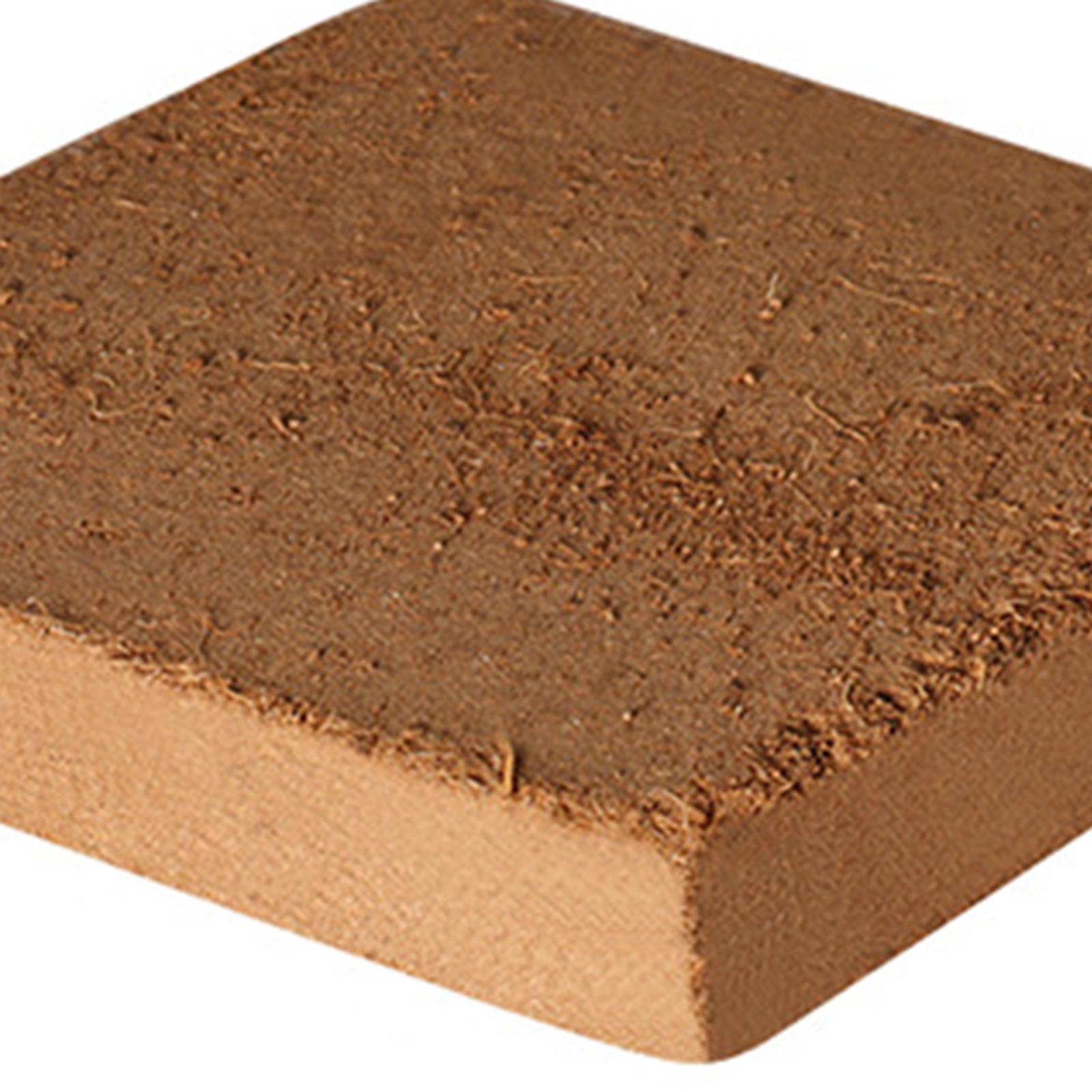 Soil Coconut Fibre Terrarium S - Substrate Coconut Fiber のレビューと価格