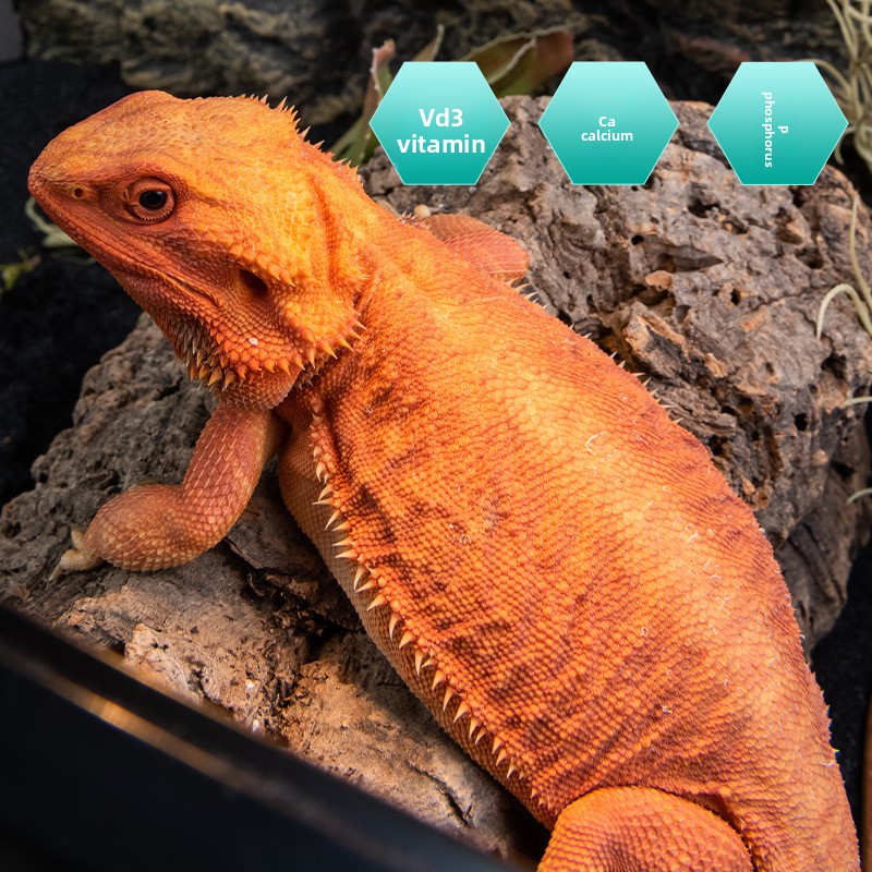 SuperRep Reptile Calcium Pro-V - Vitamin D3 Reptile のレビューと価格