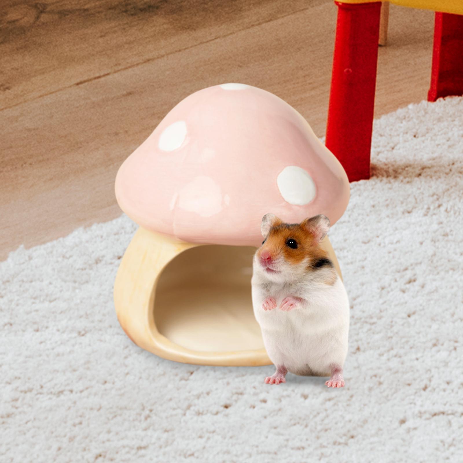 Ceramic Mushroom Hamster Hideo - Hide Cave Ceramic のレビューと価格