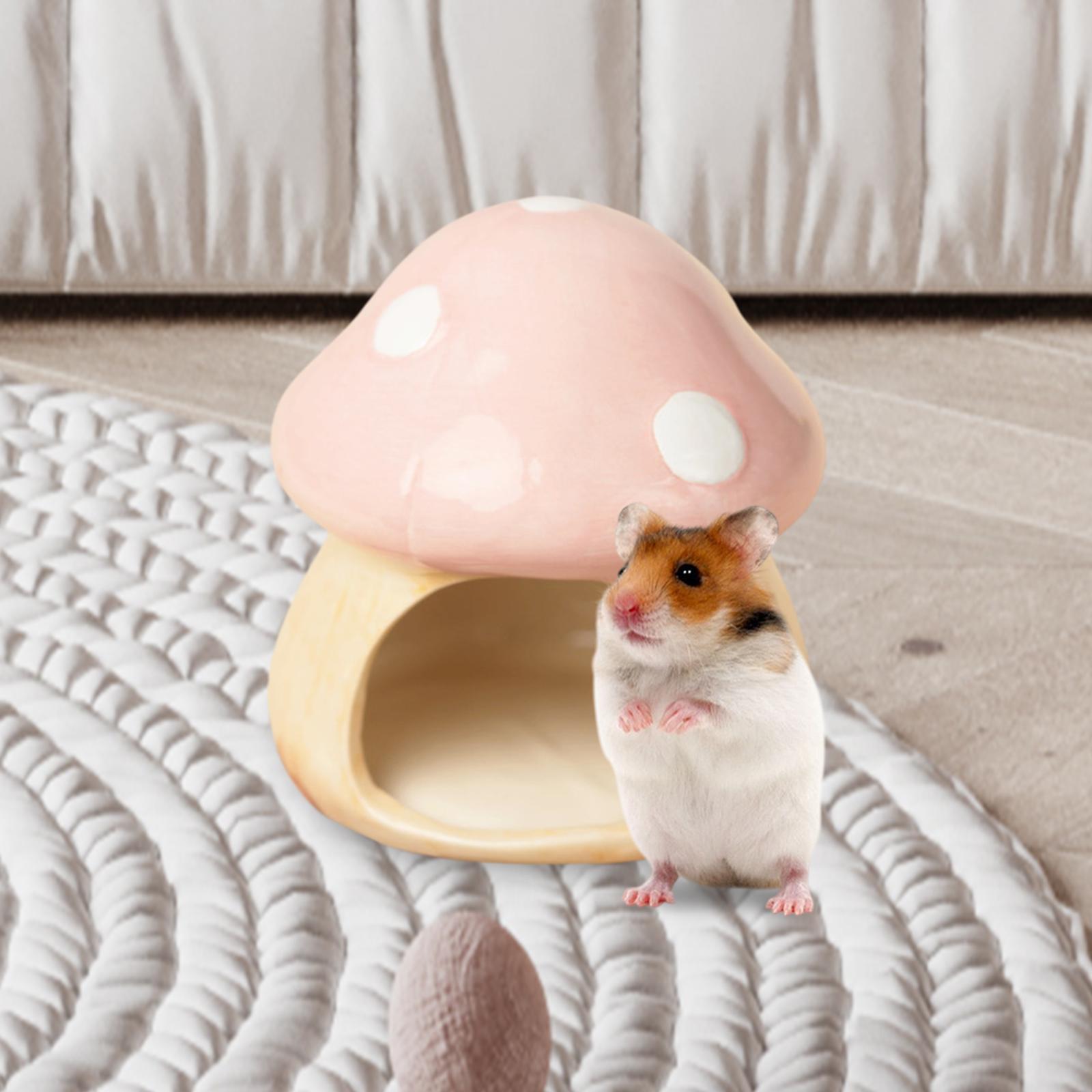 Ceramic Mushroom Hamster Hideo - Hide Cave Ceramic のレビューと価格