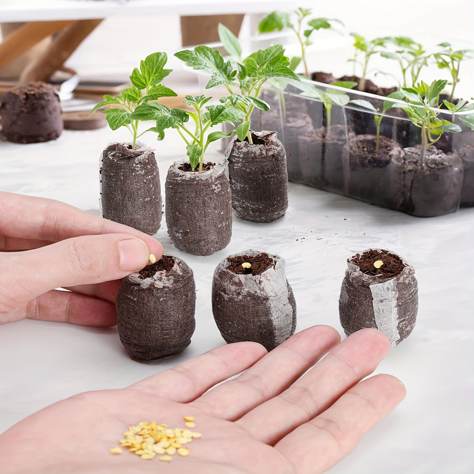 10/20/50pcs Plant Growth Bags  - Substrate Coconut Fiber のレビューと価格