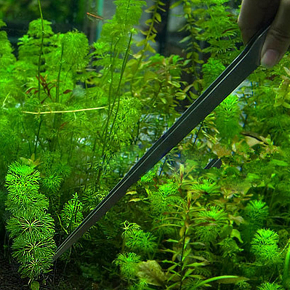 10.5 Inch Reptile Feeding Tong - Feeding Tong Stainless のレビューと価格